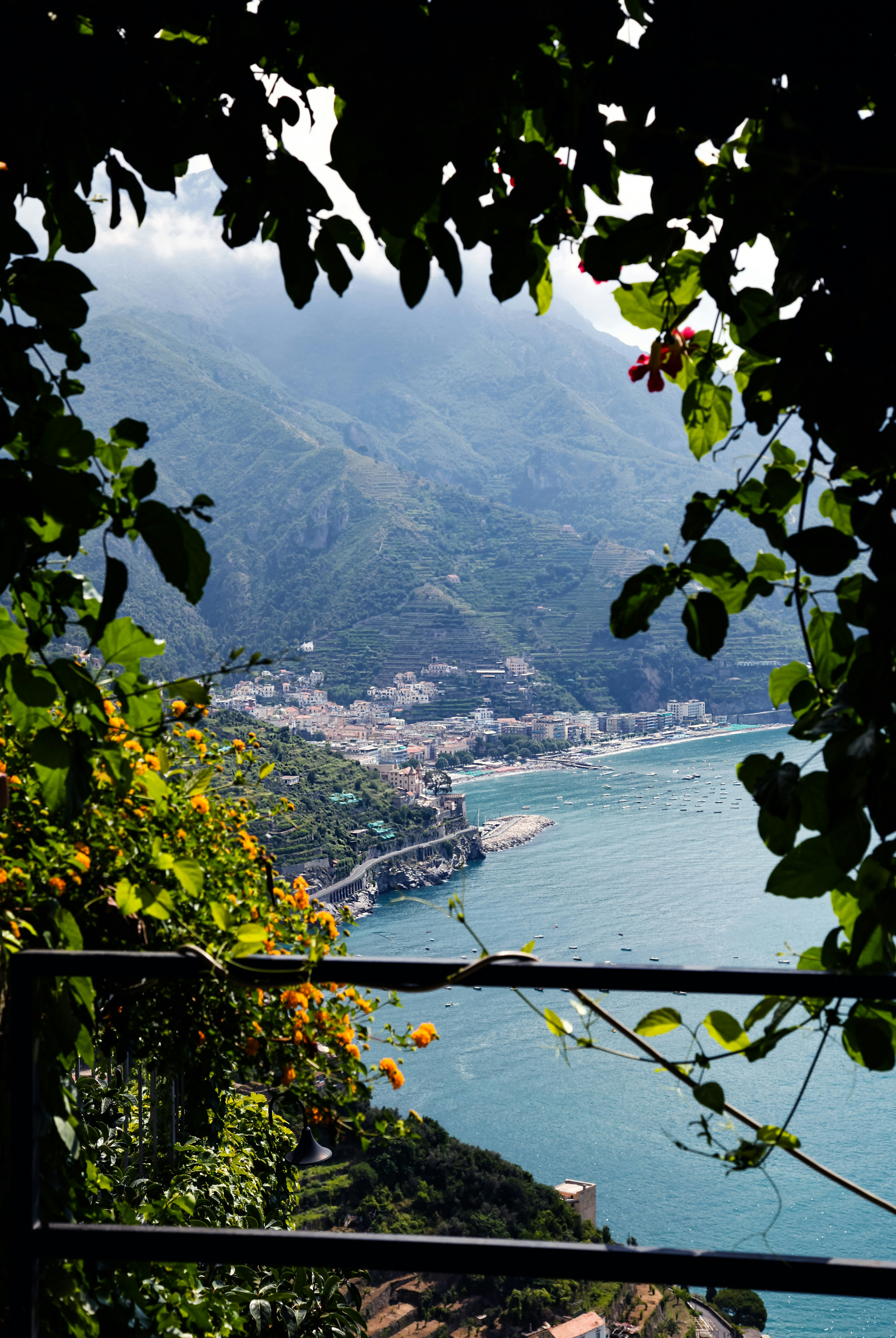 Vista sulla costa incorniciata dal verde