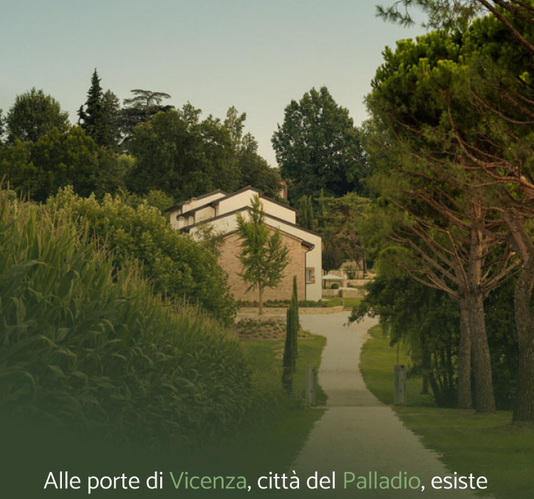Il vialetto alberato di Maddalene 101 nella campagna veneta
