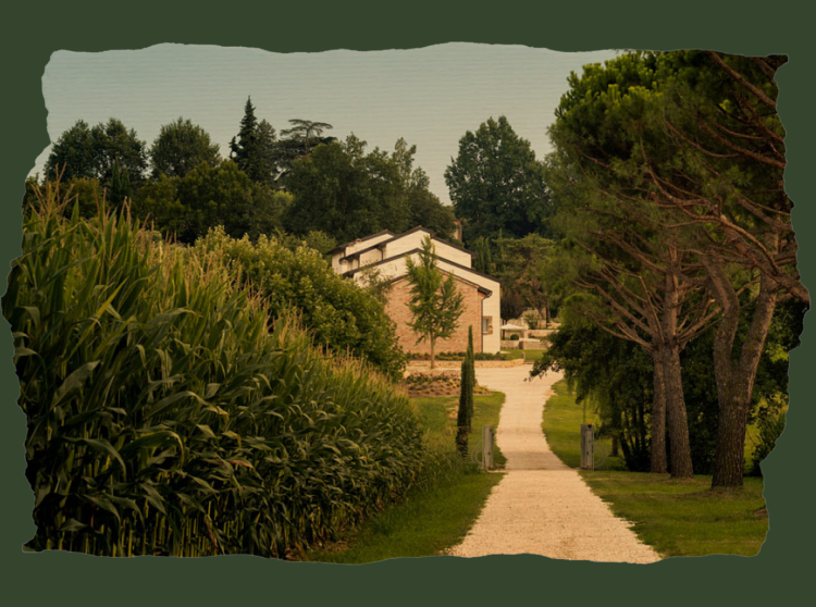 Agriturismo Maddalene 101